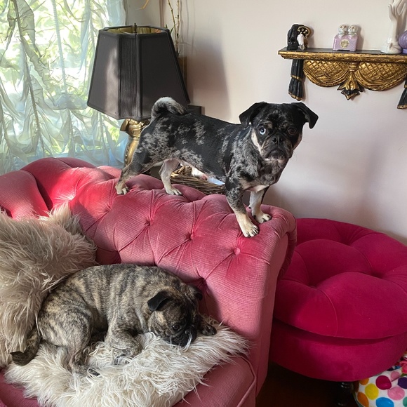 Meet your Posher, Sandra - Picture 2 of 2